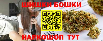 СК Гатчина