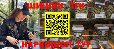 СК Гатчина