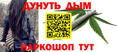 СК Гатчина