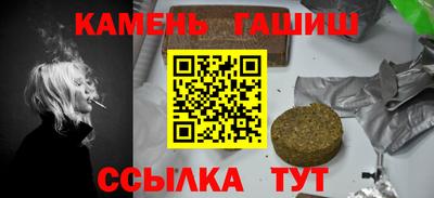 СК Гатчина