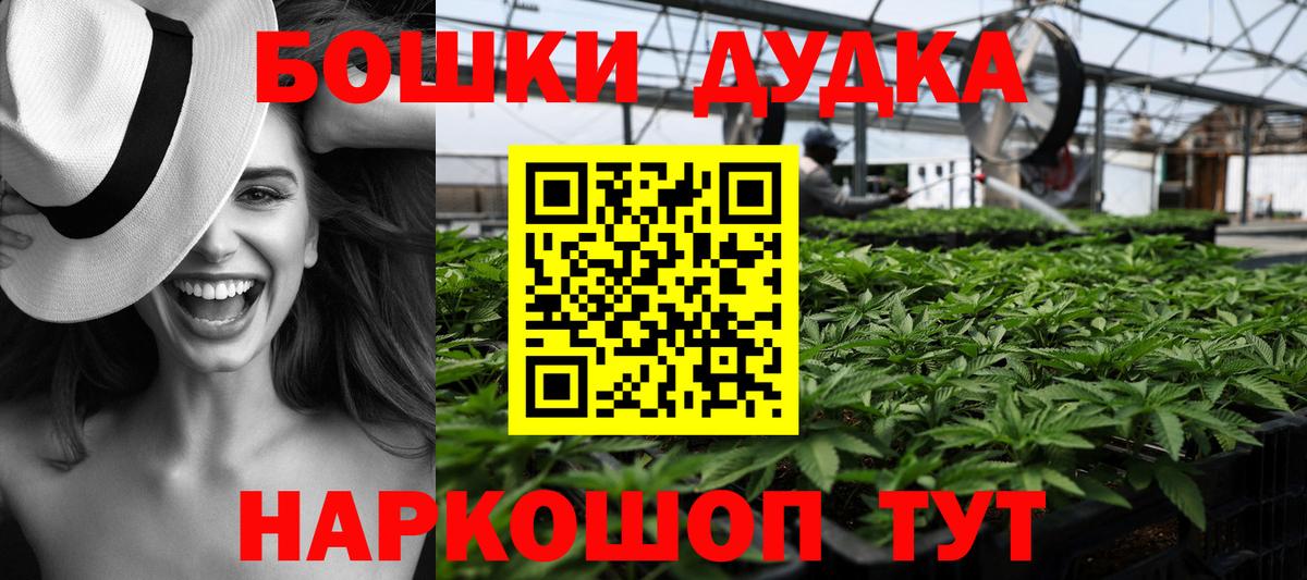 Канабис Bruce Banner  Вход с VPN  Каннабис White Widow  Курчатов  Бошки марихуана ГИДРОПОН  Каннабис ГИДРОПОН 